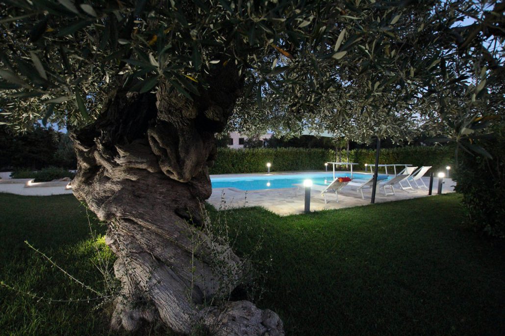 Apulia bianca - casa vacanze in puglia 13