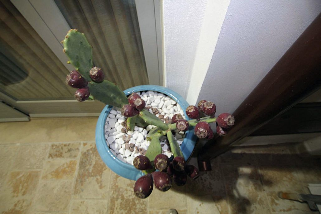 suite del vico casa vacanza puglia 32