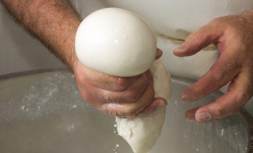 lucky explorer - mozzarelle in masseria 2